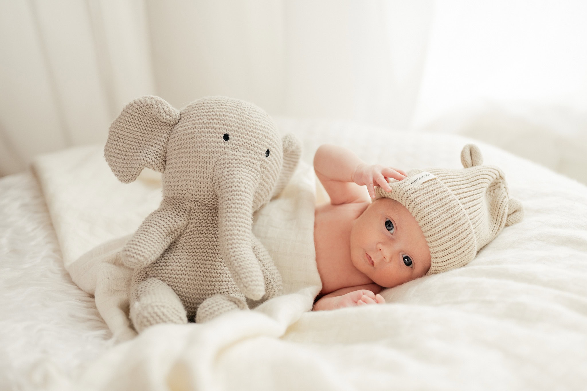 Ein neugeborenes Baby liegt auf einem Bett, trägt einen gestrickten Hut und liegt neben einem großen, kuscheligen Elefanten-Spielzeug. Das Baby schaut neugierig in die Kamera und wirkt entspannt und f.