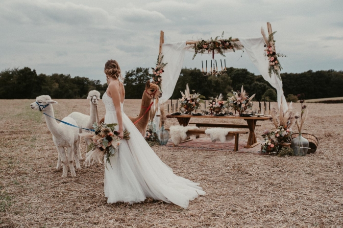 styled shoot – Alpaka wedding photoart hübner Dein Hochzeitsfotograf in NRW 122