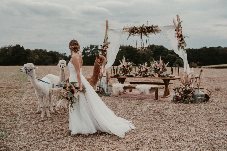 styled shoot - Alpaka wedding