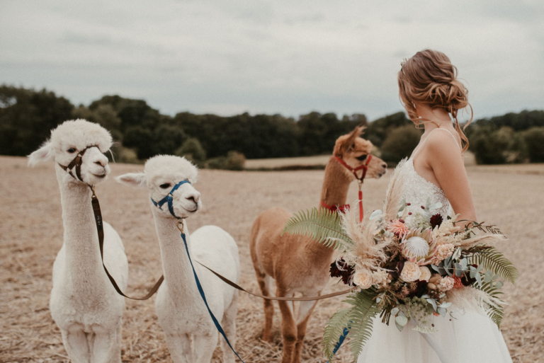 styled shoot – Alpaka wedding photoart hübner Dein Hochzeitsfotograf in NRW 130